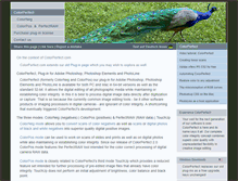 Tablet Screenshot of colorperfect.com
